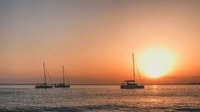 Lanzarote Dolphin-Watching Sunset Cruise mit Transfers